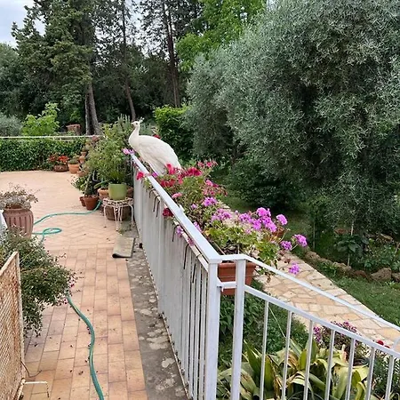 La Casa Dei Fiori *