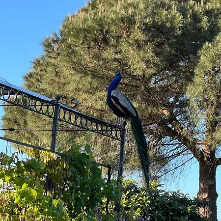 La Casa Dei Fiori Prázdninový dům Fabrica di Roma