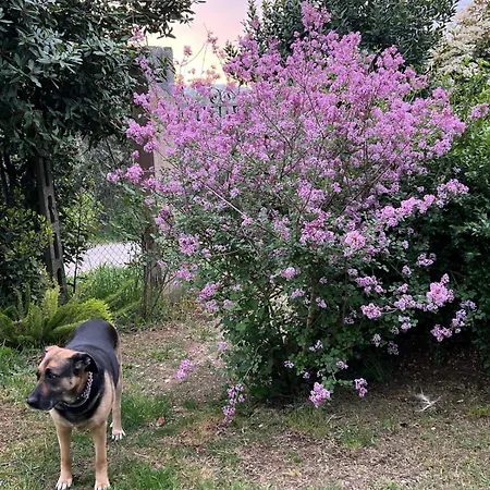 La Casa Dei Fiori